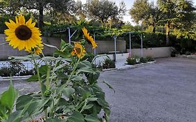 Rosemarin