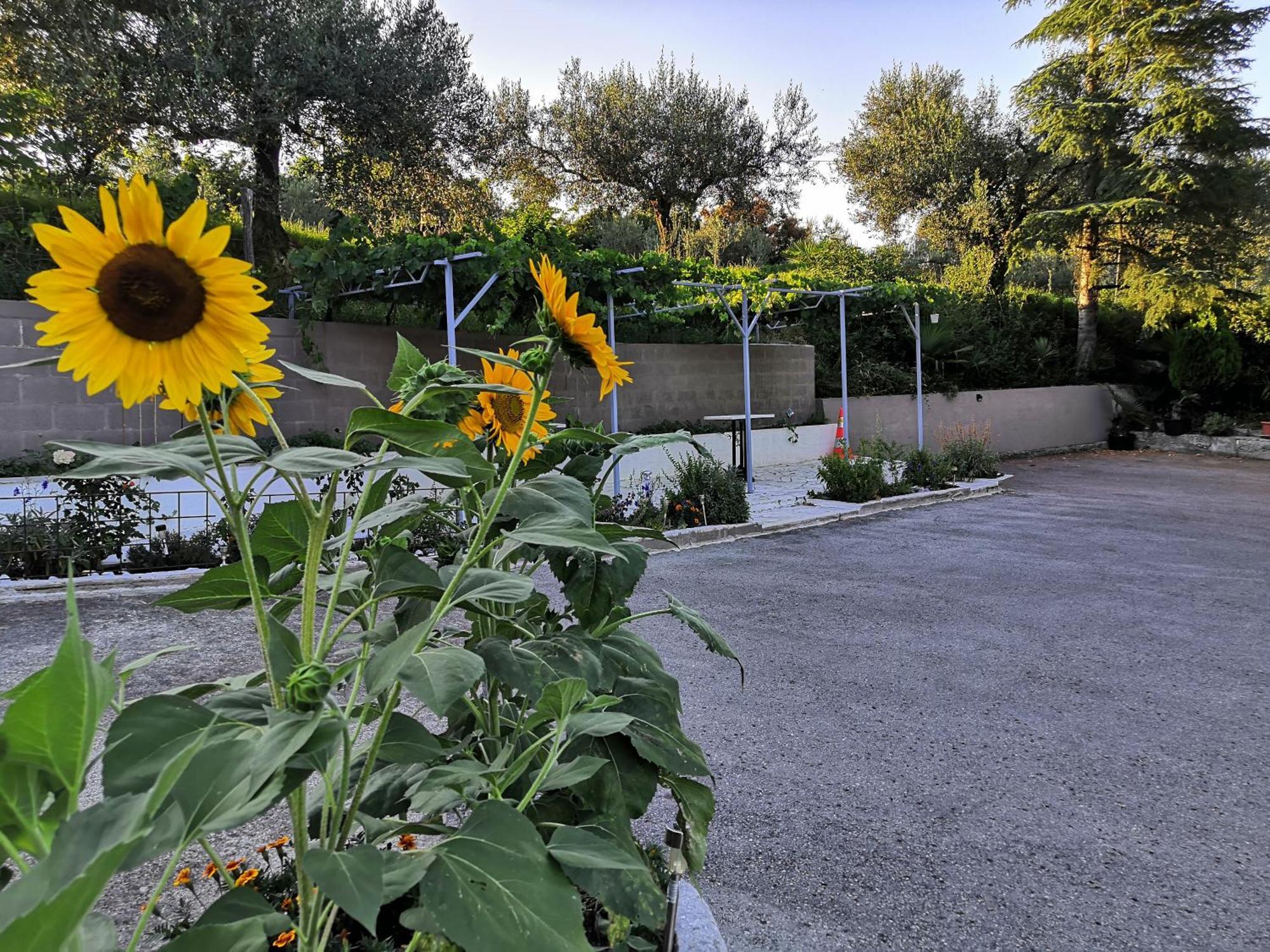 Apartamento Rosemarin Koper Exterior foto